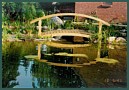 Ein Garten entsteht